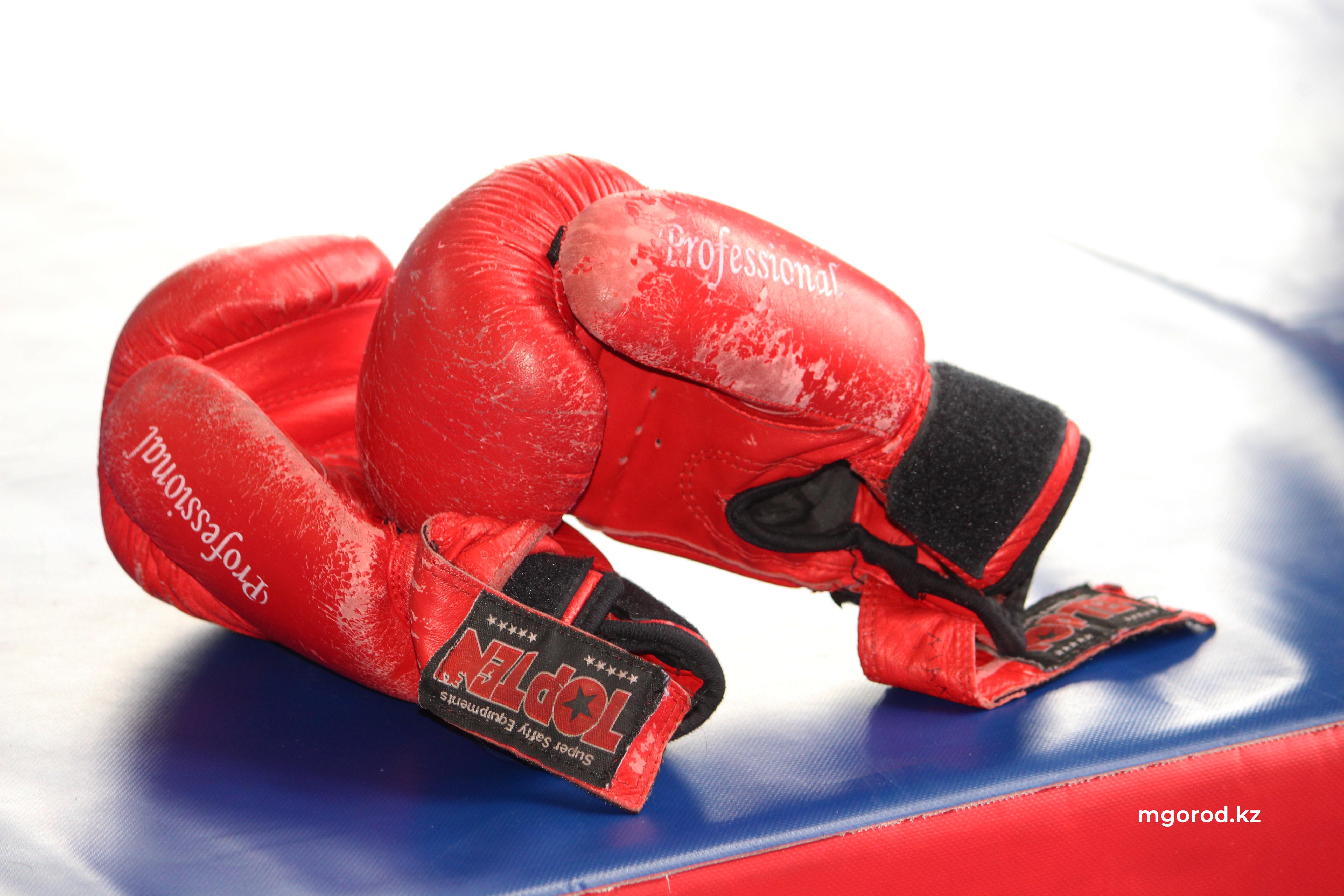 21 бесплатная спортивная секция для детей работает в Бурлинском районе